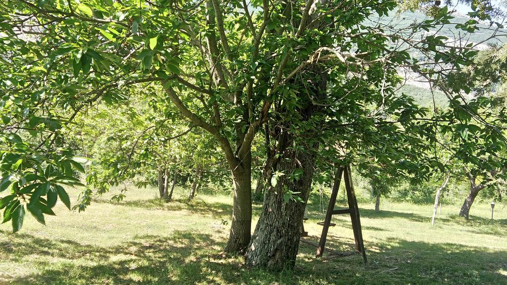 Agriturismo Collevento Треккіна Екстер'єр фото